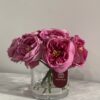 Purple Classic Garden rose