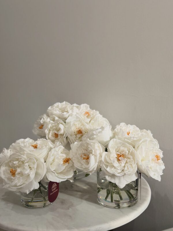 White Classic Garden Rose Vase
