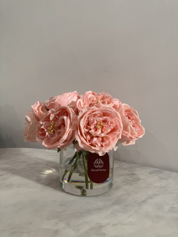 Peach Classic Garden Rose Vase