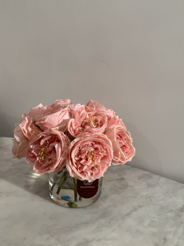 Peach Classic Garden Rose Vase