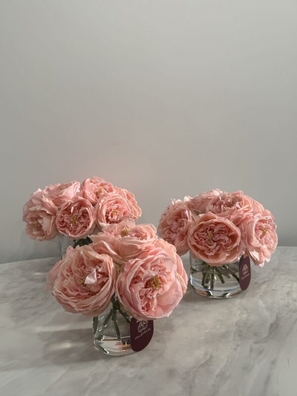 Peach Classic Garden Rose Vase